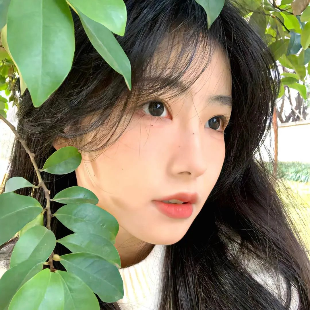 挑战阿拉斯加